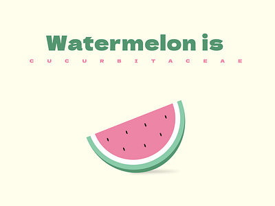 Fruits icons rebrand AD - Watermelon