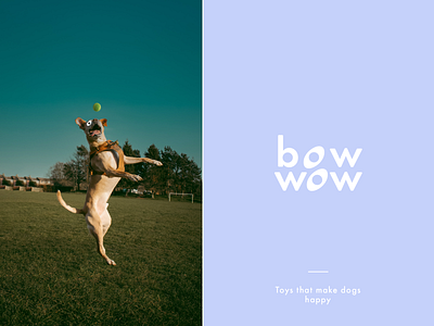 Branding & Packaging Design bowwow