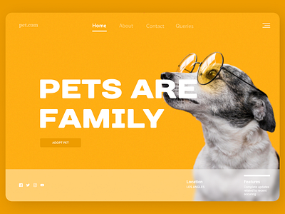 Pets Web dailyui dashboard ui design minimal new typography ui ux web website