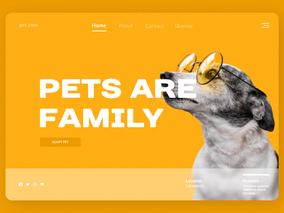 Pets Web