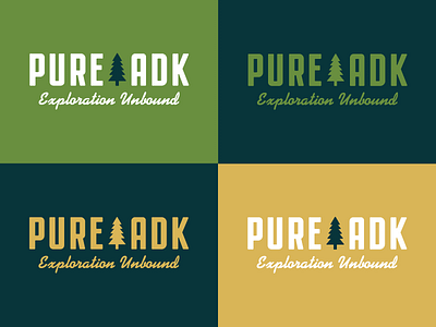 Pure ADK Logo Color Variations adirondacks logo new york upstate