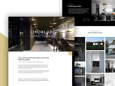 Lindblad & Partners clean design ui ux web webdesign website