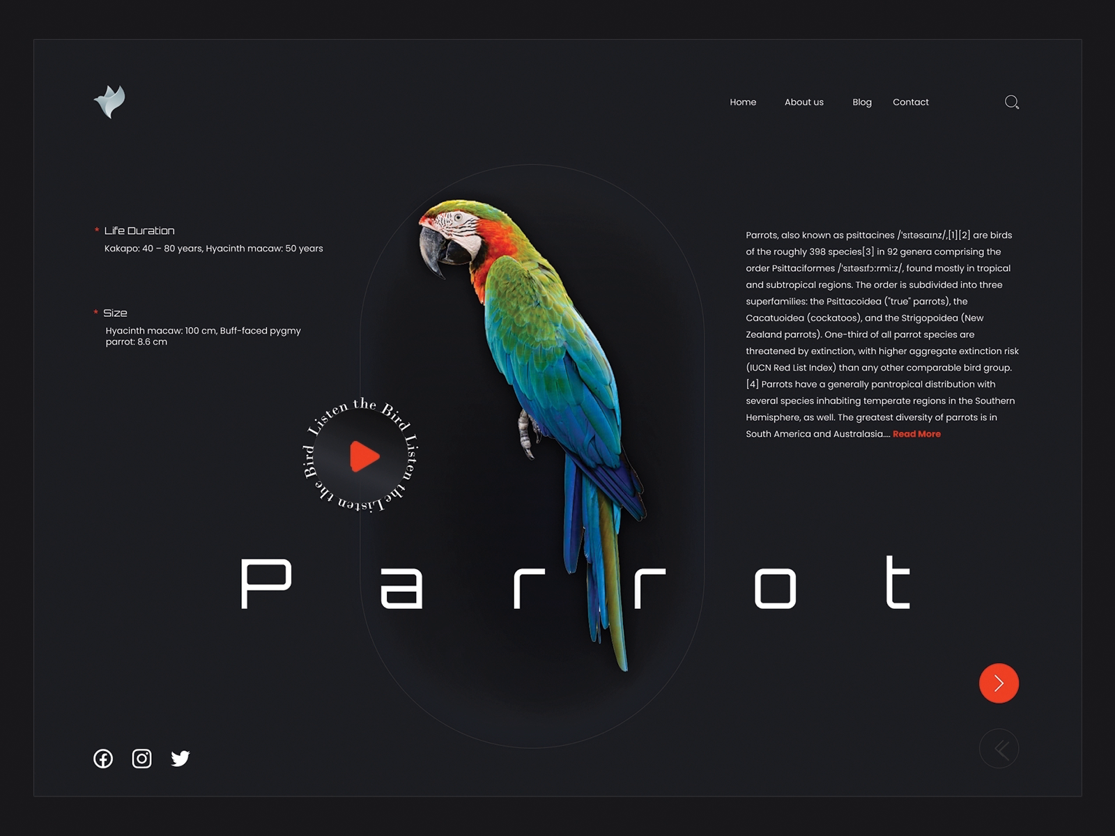 Virtual Birds Exhibition - Website Layout by Indylogix Graphic for ...