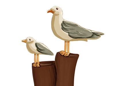 Seagulls illustration
