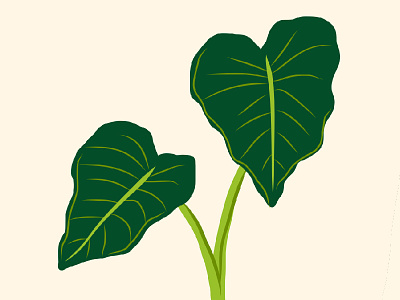 Spotted Plant adobe cute draw ear elephant green illustration plant spotted whimsical