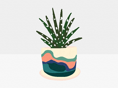 Hawarthia apartment therapy colorful coral hawarthia houseplant mountains peach plant planter pot spotted teal