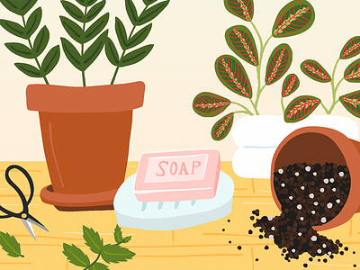 Why You Should Use Soap While Gardening apartment therapy editorial gardening illustration maranta plants soap zz plant
