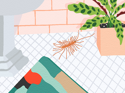 House Centipede apartment therapy bathroom bugs calathea centipede cold picnic editorial illustration pests plants rattlesnake rug