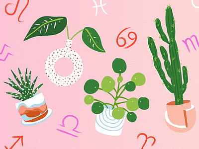 Houseplant Zodiac