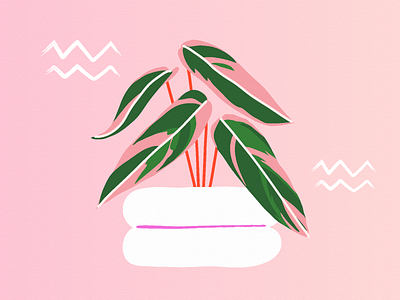 Calathea Triostar apartment therapy calathea calathea triostar cute editorial horoscope houseplant illustration pink plant plants zodiac