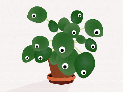 Creepy Pilea Peperomioides chinese money plant coin creepy cute eyeballs eyes halloween houseplant money peperomioide pilea pilea peperomioides spooky terra cotta