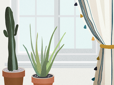 Plants by a Window aloe apartment therapy cactus curtain editorial green houseplant illustration neutral plant plants pretty tassels terra cotta window