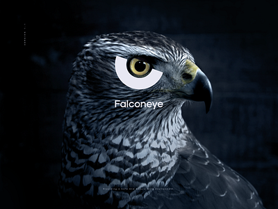 Falconeye - Strategic Visual Identity design
