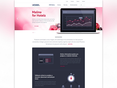 Malina :) clean colorful header homepage icons landing simple ui webdesign website