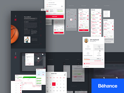 DOXXbet - Behance Case Study