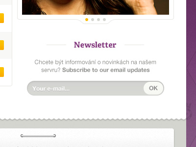 Newsletter form input newsletter ui web design website