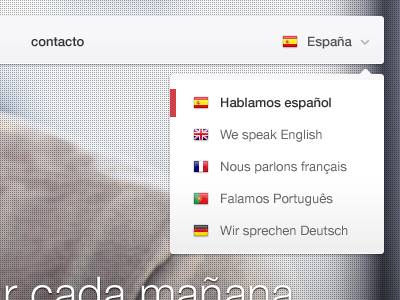 Language menu flags language menu navigation selector