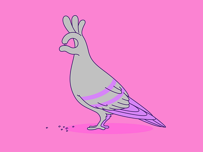 Pigeon