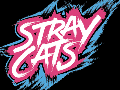 stray cats