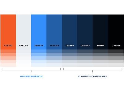 Color Palette branding coloful color palette design