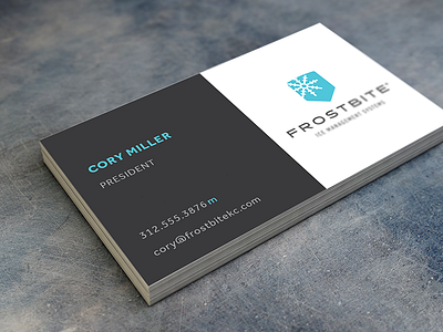 Frostbite Branding blue branding business card gray ice logo snow startup