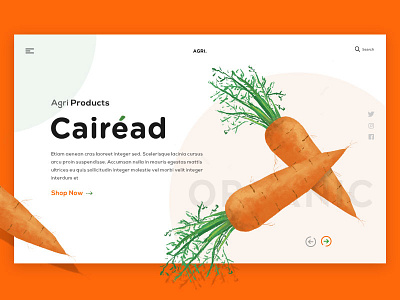 Banner for an organic eCommerce website! banner green illustration orange organic ui vegetables