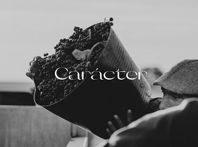 Carácter Branding brand design brand identity branding design graphic design luxury minimal minimalist logo typography