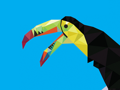Tucan ae aftereffects animation branding design icon illustration logo