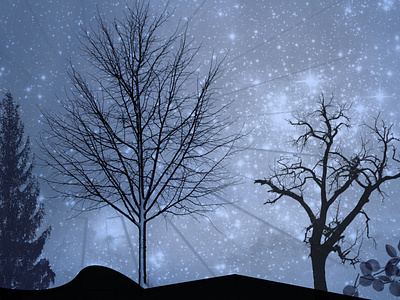 Beautiful Night Scene image & vector