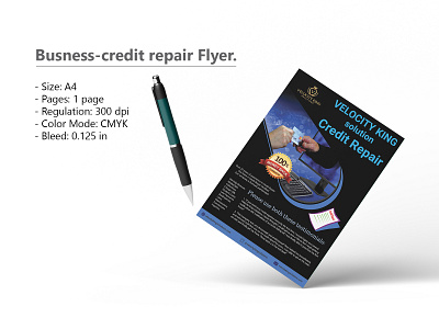 Credit repire business flyer