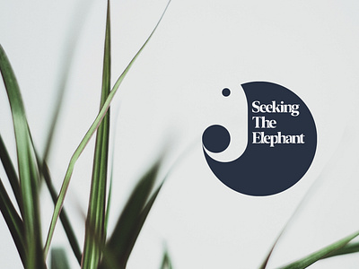 Seeking The Elephant | Branding