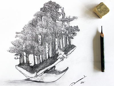 Bonsai - Samahiko Kimura bonsai kimura pencil pencil drawing samahiko tree