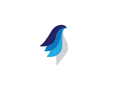 #Bird bird logo logo design nepali logo designer vector