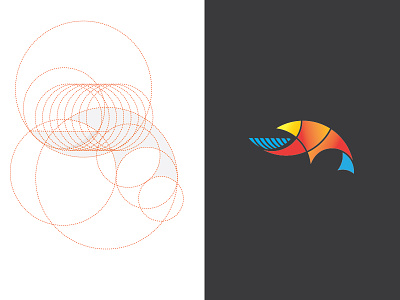 #Bird bird logo logo design nepal nepali logo designer vector