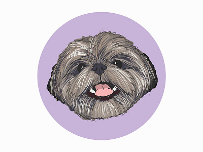 Kobe the Dog dog illustration shihtzu