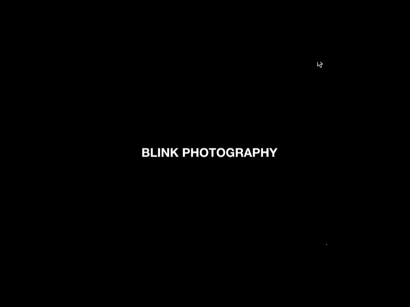 Blink Photography Logo Hover (Principle)