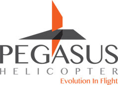 Pegasus Logo Final Tiny flight fresh grey helicopter innovative logo orange pegasus red technology