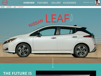 Nissan Leaf Desktop
