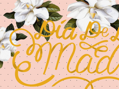 Dia De Las Madres handwritten magnolia script type vector