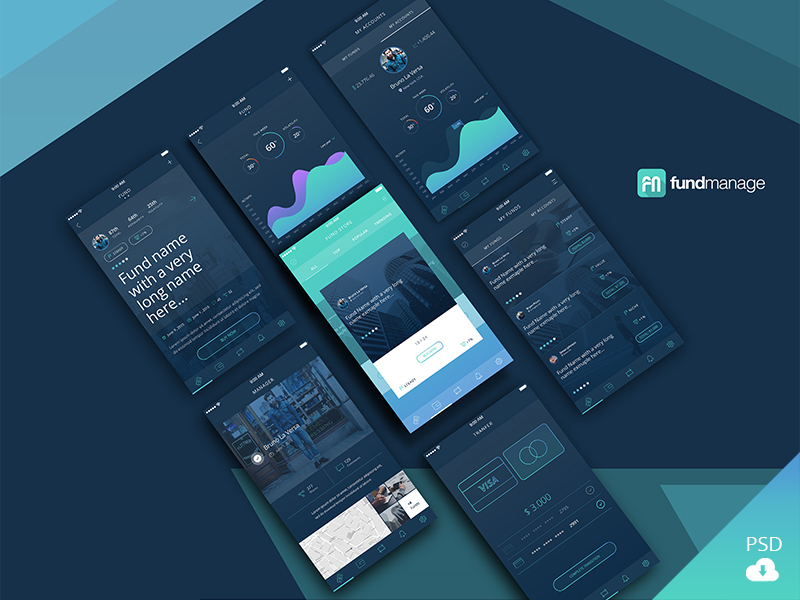 Fundmanage App by Bruno La Versa on Dribbble