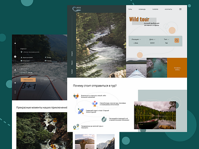 Wild tours Homepage design figma homepage landing tours ui web design webdesign