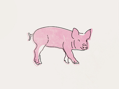 Pig illustration line art pig pink