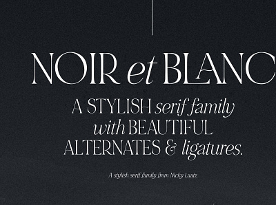 NOIR et BLANC Stylish Serif animation app branding design graphic design illustration illustrator minimal typography website