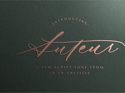 Auteur Calligraphy Script Font animation branding design graphic design illustration illustrator logo minimal typography ui vector