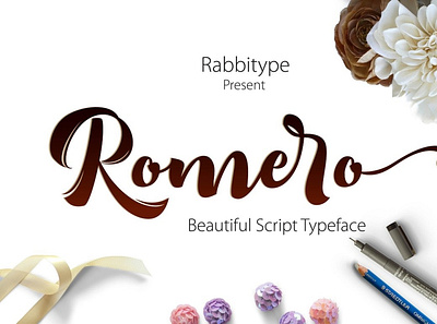 Romero Script animation branding design graphic design illustration illustrator minimal typography vector web website