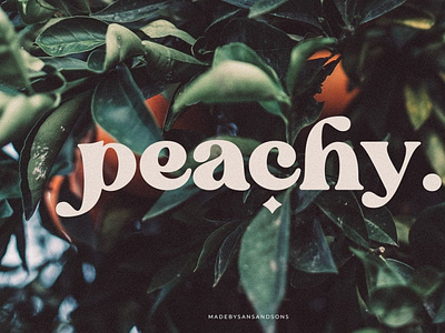 Blanch Sage - Retro Font