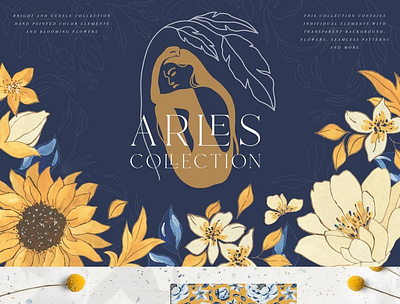 Arles Collection animation branding design graphic design icon illustration illustrator typography ux website