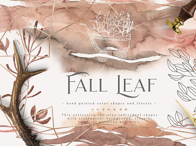 Fall Leaf Collection animation art branding design graphic design illustration illustrator minimal typography vector