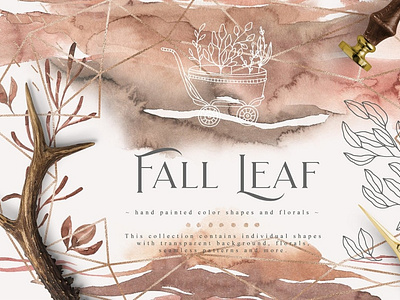 Fall Leaf Collection