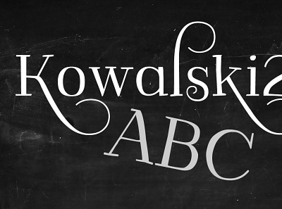 Kowalski2 ABC set animation branding design graphic design illustration illustrator minimal typography ux web